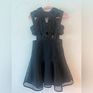 Nasty gal cutout mesh flared dress. Never worn. Brand new without tag.